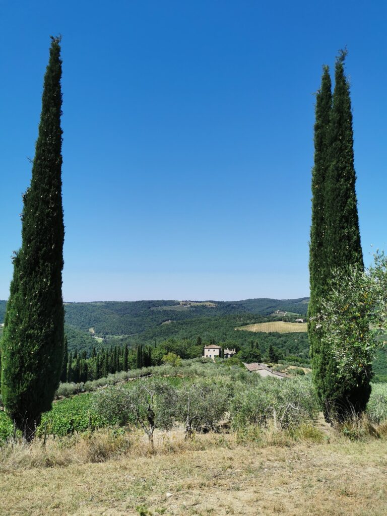 Distilleria artigianale